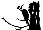 Large Steel Woodpecker Weathervane or Sign Profile - Laser cut